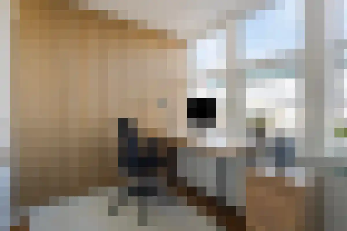 Postjeskade 49 1 Amsterdam thumbnail 4