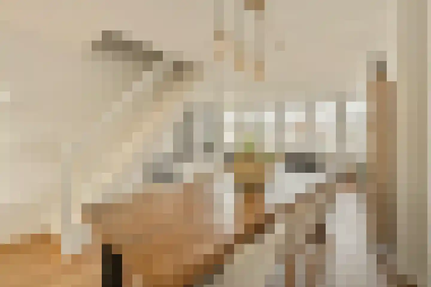 Postjeskade 49 3 Amsterdam