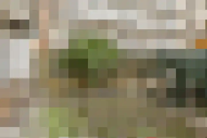 Postjeskade 7 1 Amsterdam thumbnail 12