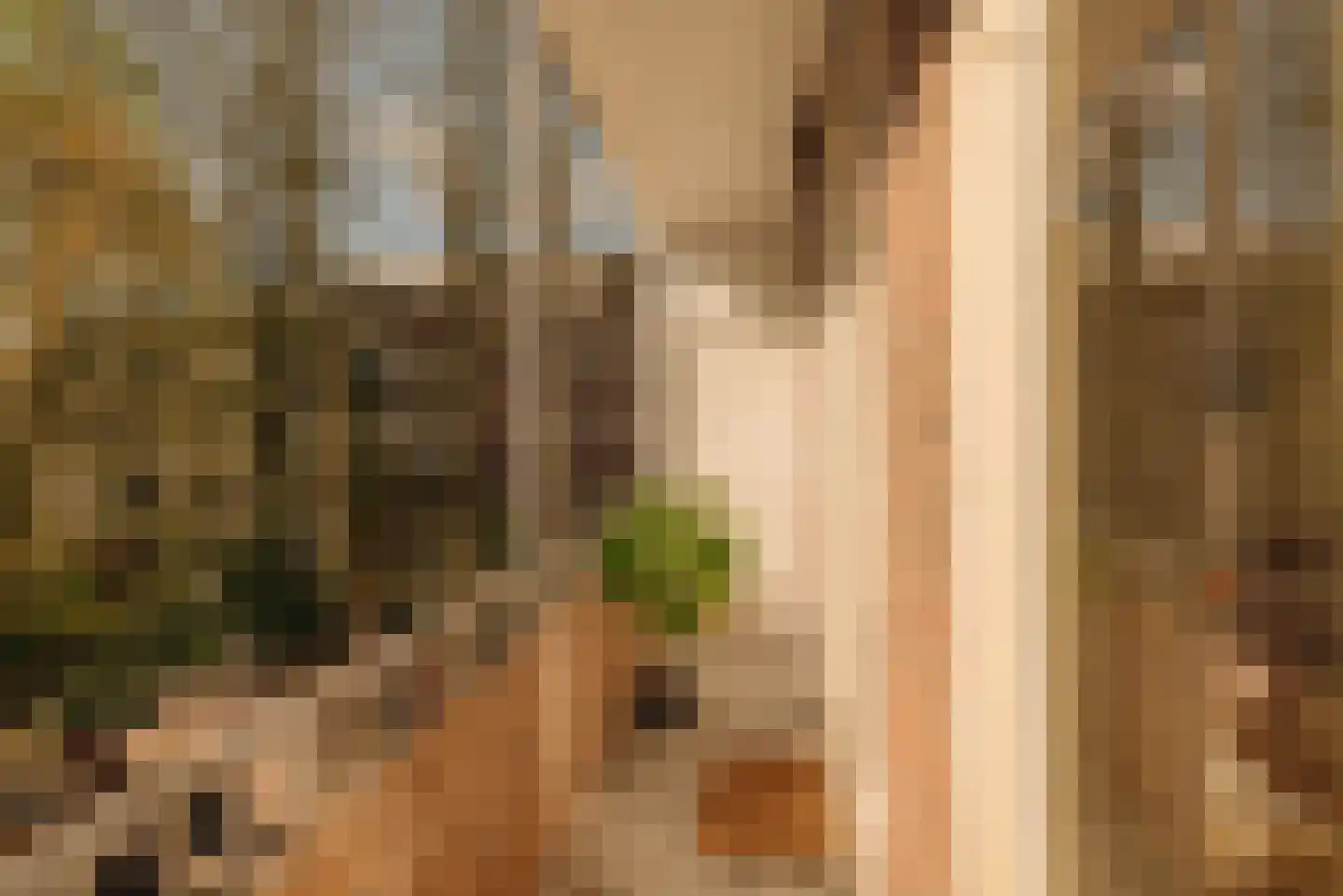 Postjeskade 7 H Amsterdam thumbnail 14