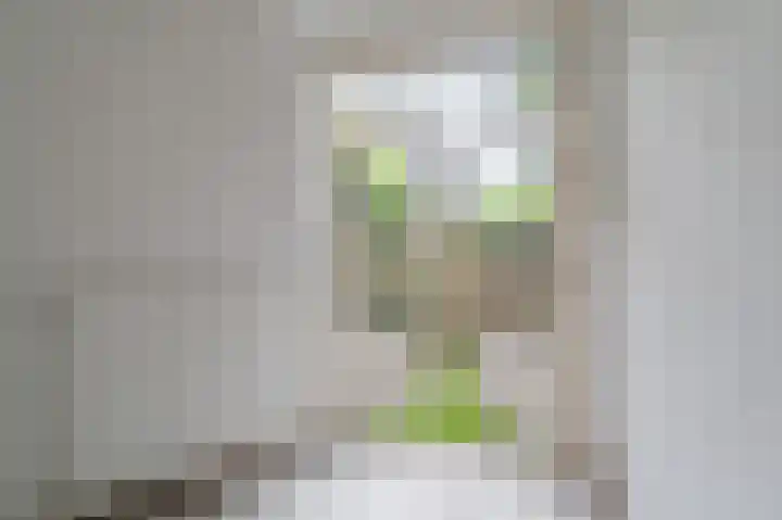 Postjeskade 91 3 Amsterdam thumbnail 13