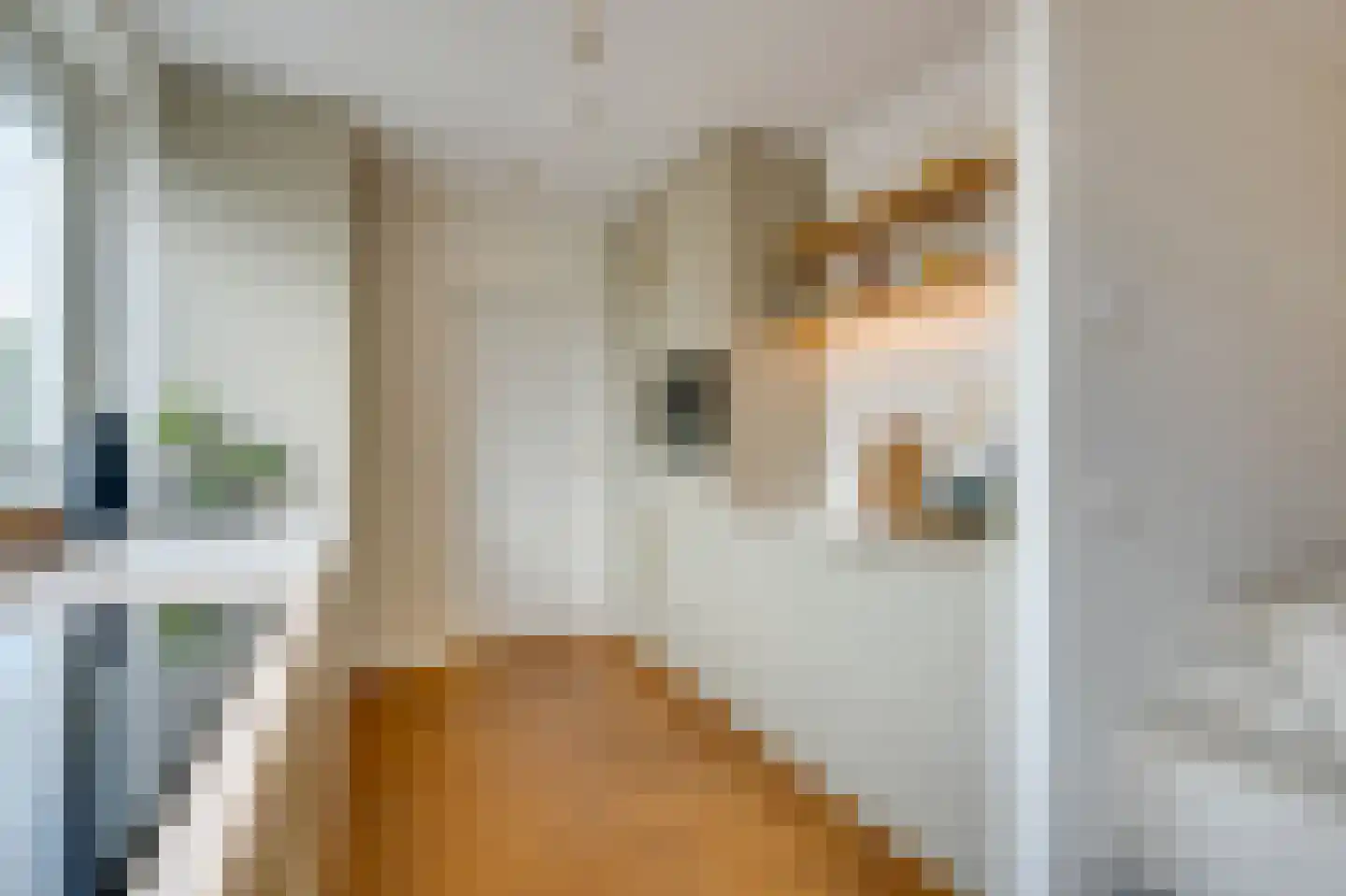 Postjesweg 103 2 Amsterdam thumbnail 18
