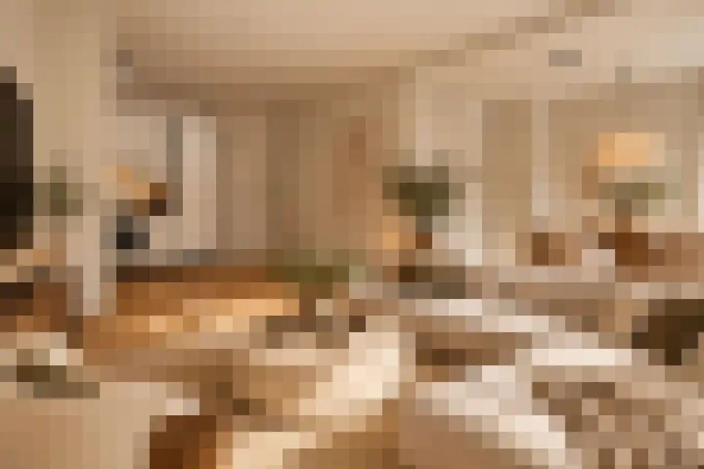 Postjesweg 120 1 Amsterdam thumbnail 9