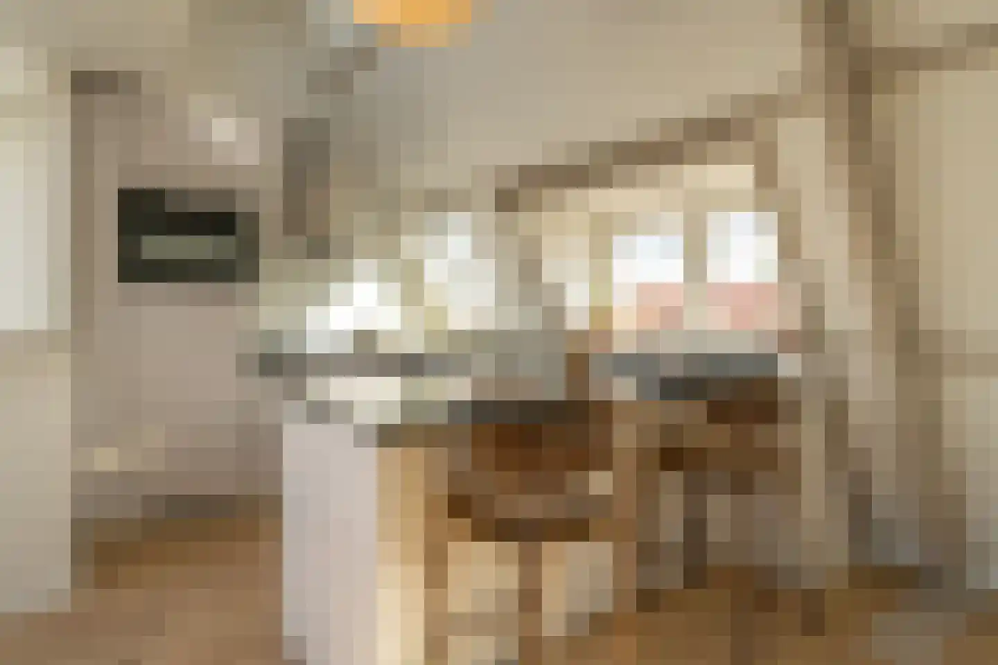 Postjesweg 120 3 Amsterdam thumbnail 33