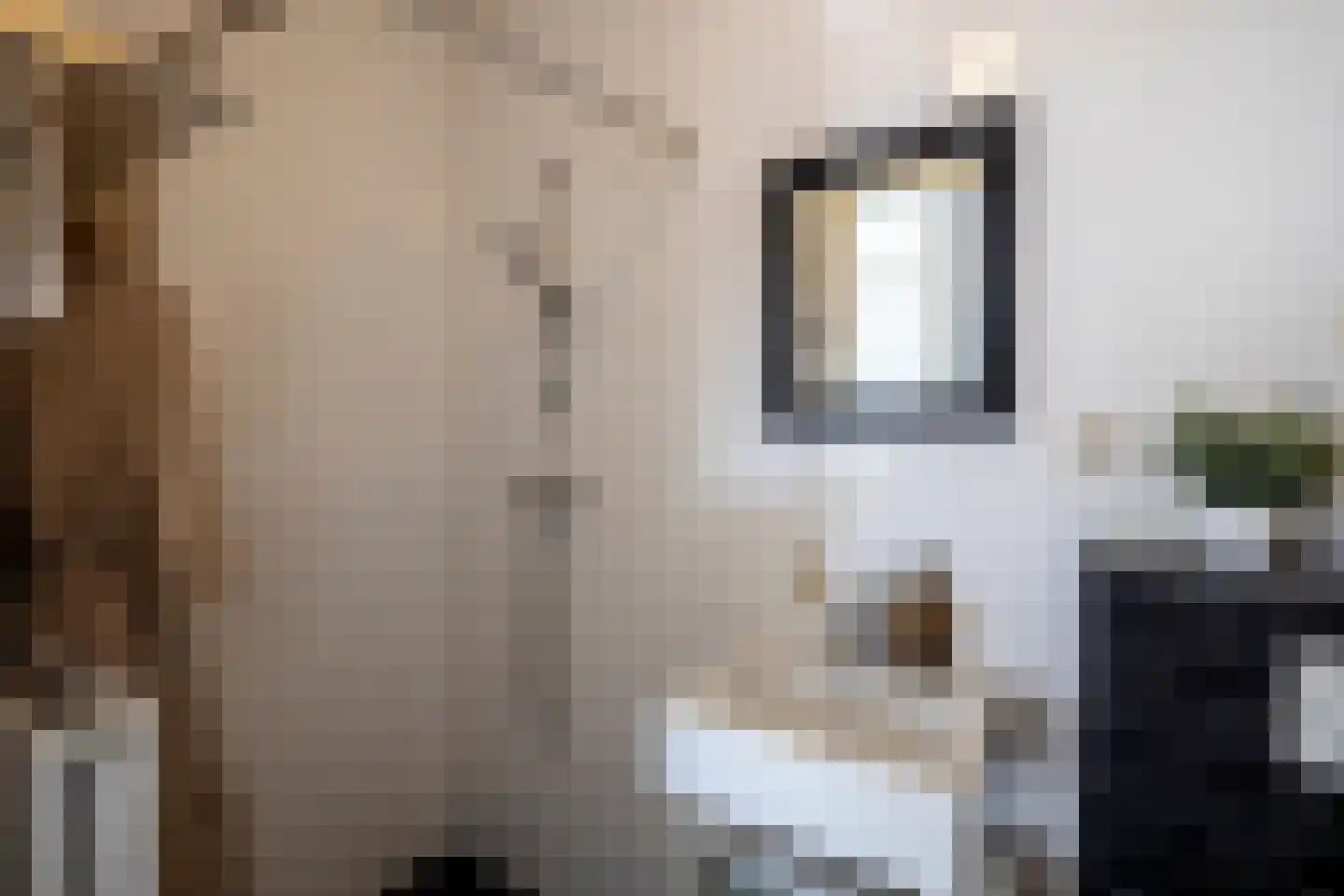 Postjesweg 136 K Amsterdam thumbnail 22