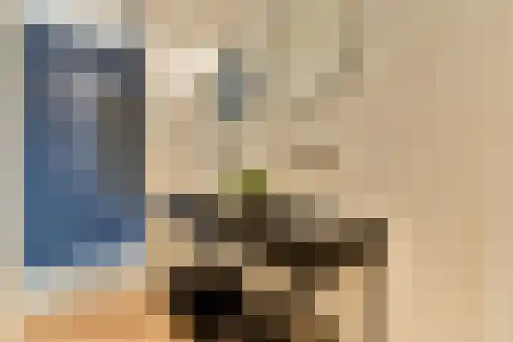 Postjesweg 202 Amsterdam thumbnail 19
