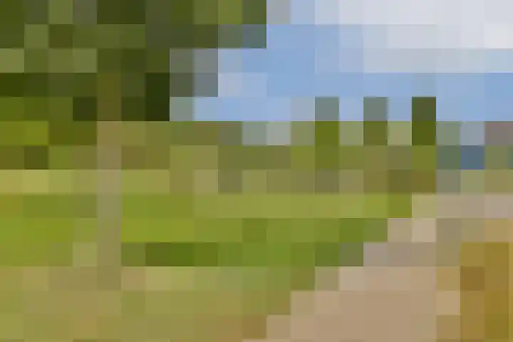 Postjesweg 202 Amsterdam thumbnail 31