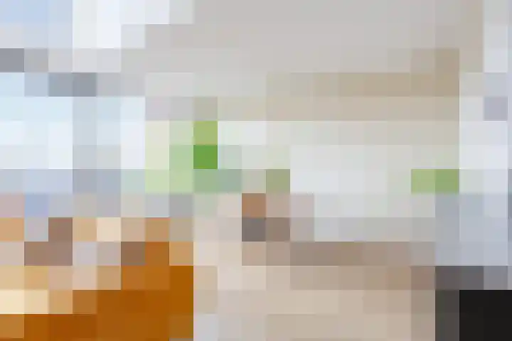 Postjesweg 216 Amsterdam thumbnail 12