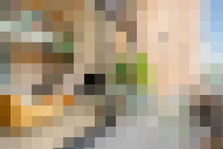 Postjesweg 216 Amsterdam thumbnail 4