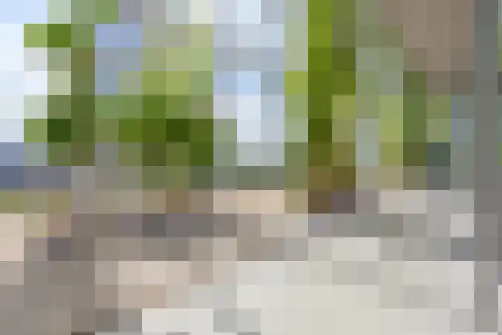 Postjesweg 216 Amsterdam thumbnail 43