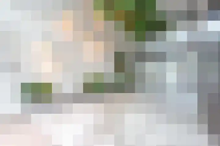 Postjesweg 216 Amsterdam thumbnail 46
