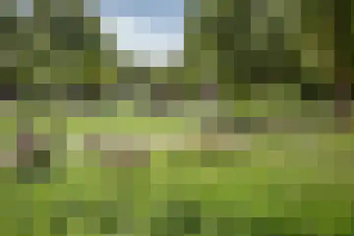 Postjesweg 216 Amsterdam thumbnail 49