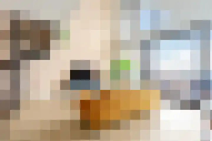 Postjesweg 216 Amsterdam thumbnail 6