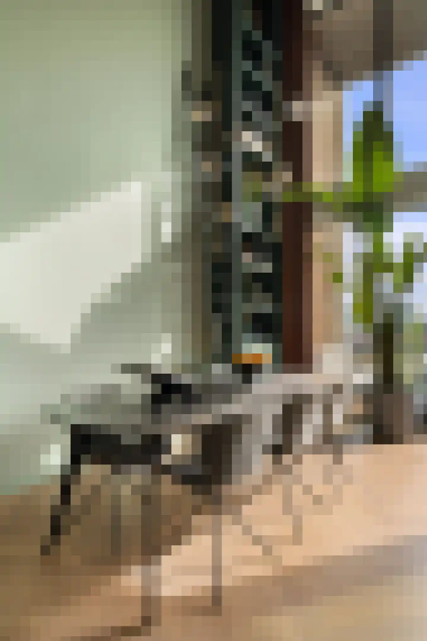 Postjesweg 224 Amsterdam thumbnail 14