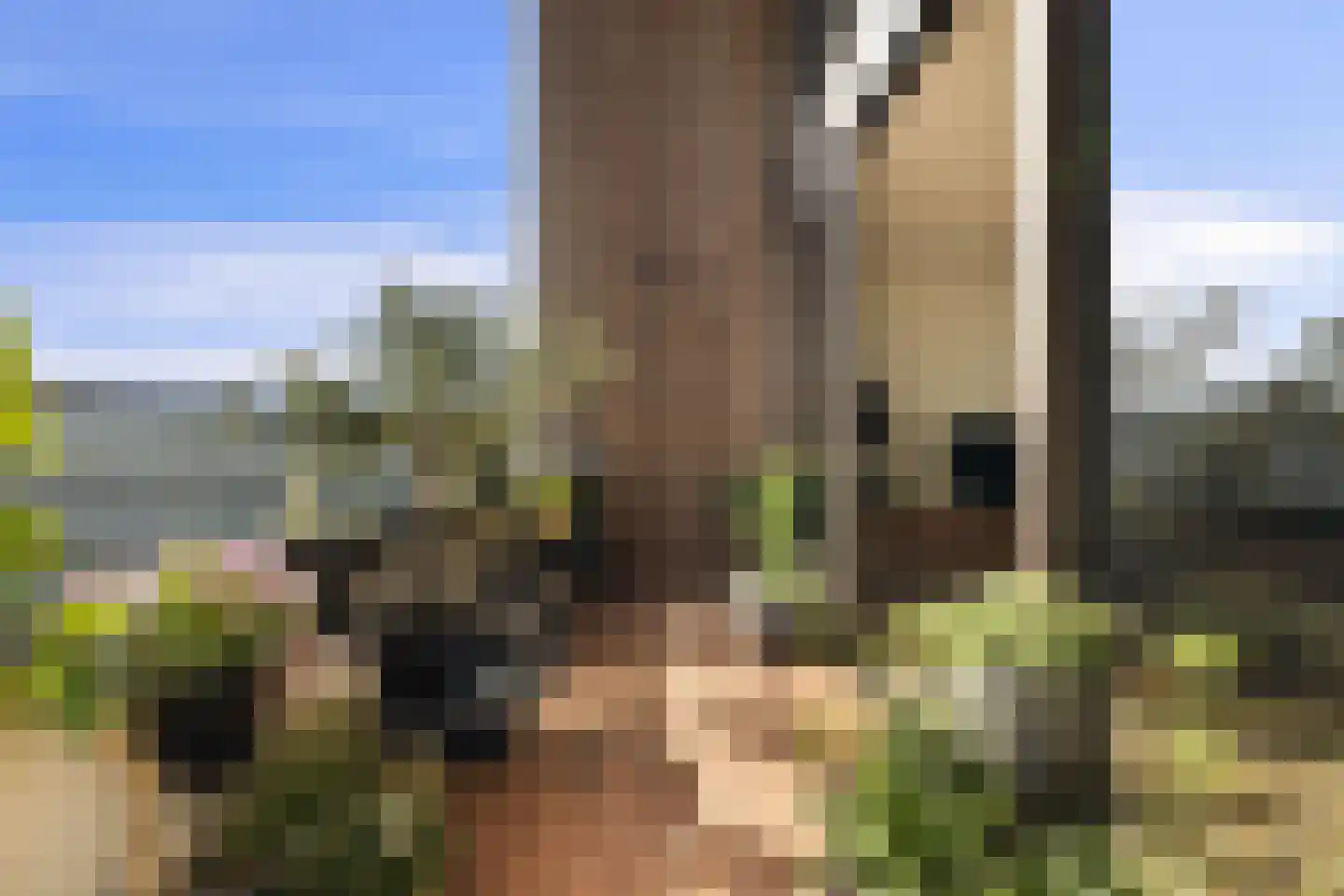 Postjesweg 224 Amsterdam thumbnail 18