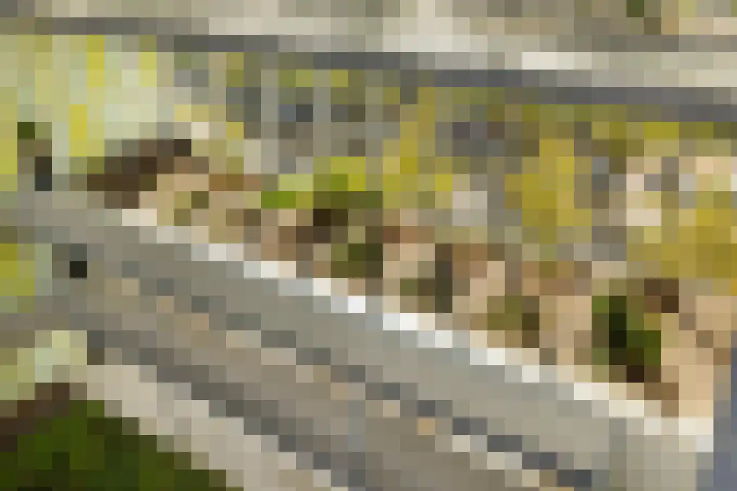 Postjesweg 224 Amsterdam thumbnail 44