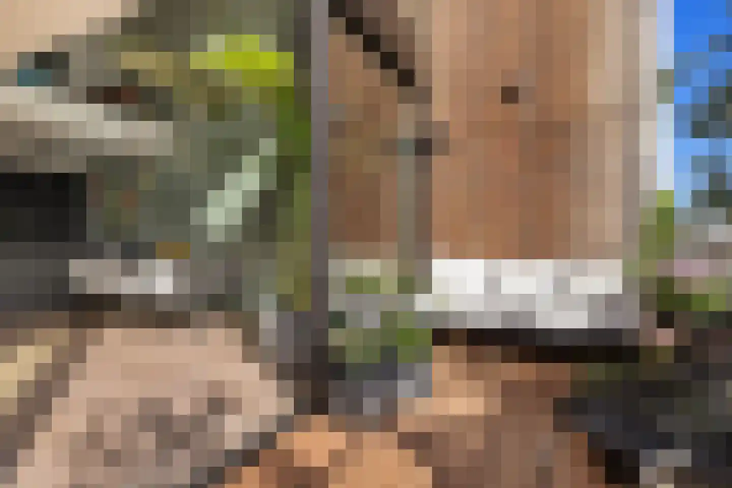 Postjesweg 224 Amsterdam thumbnail 7