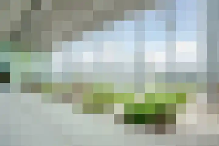 Postjesweg 310 Amsterdam thumbnail 47
