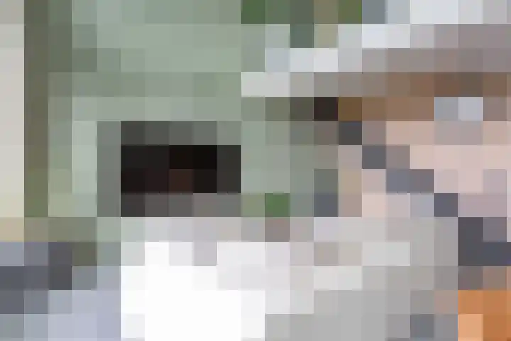 Postjesweg 310 Amsterdam thumbnail 6