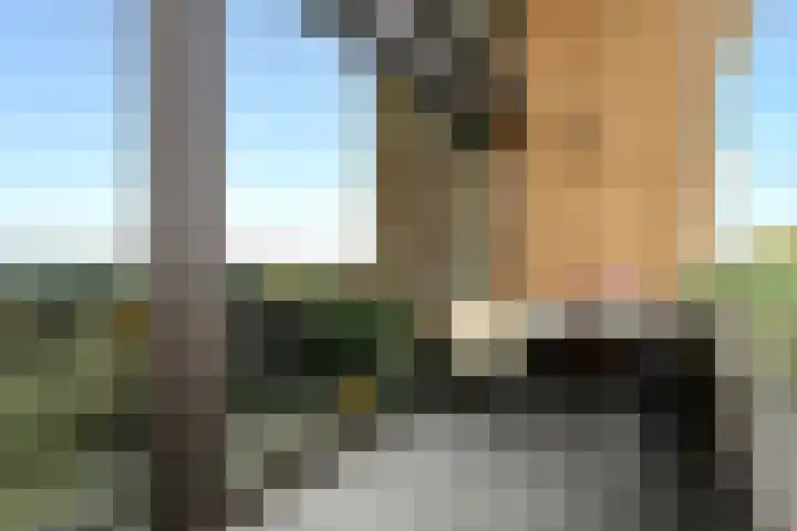 Postjesweg 312 Amsterdam thumbnail 18