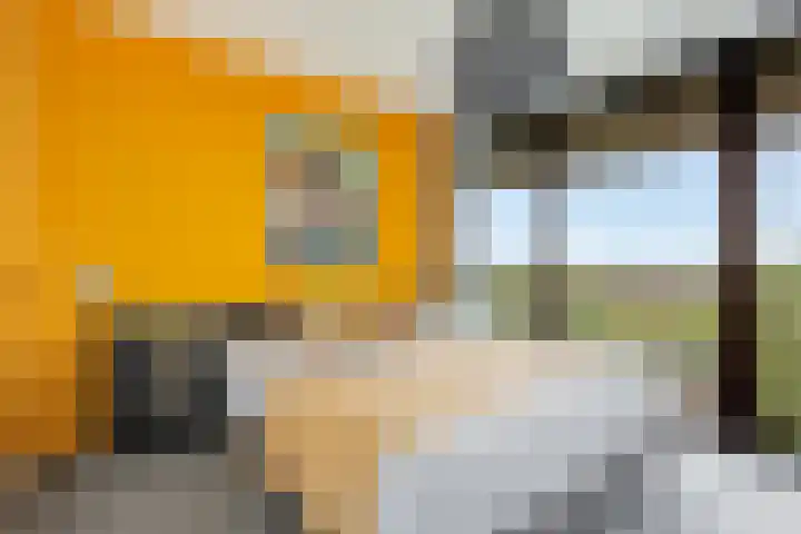 Postjesweg 312 Amsterdam thumbnail 31