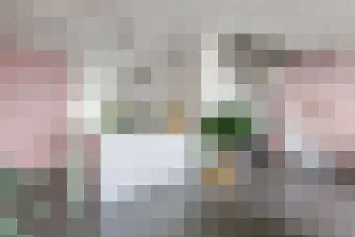 Postjesweg 312 Amsterdam thumbnail 4