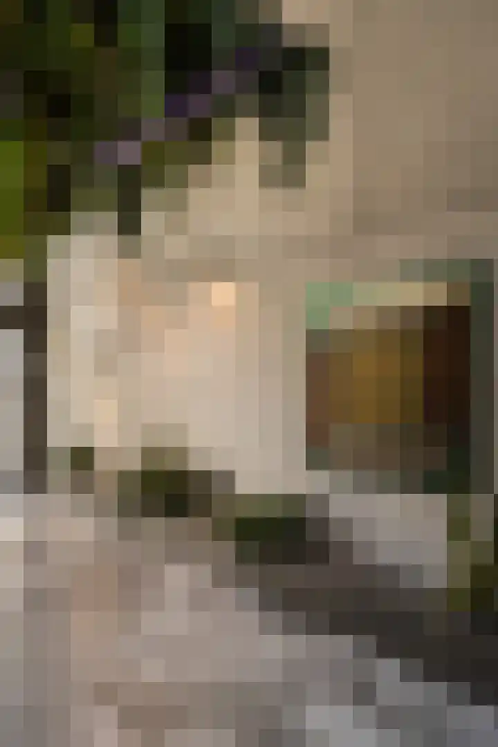 Postjesweg 314 Amsterdam thumbnail 32