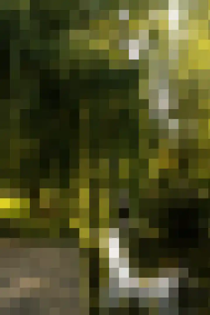 Postjesweg 314 Amsterdam thumbnail 34