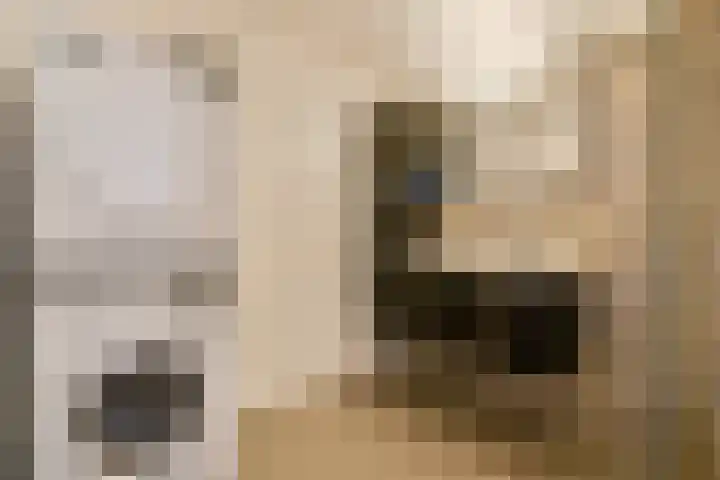 Postjesweg 369 Amsterdam thumbnail 21