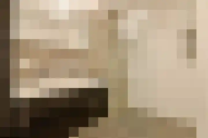 Postjesweg 369 Amsterdam thumbnail 22