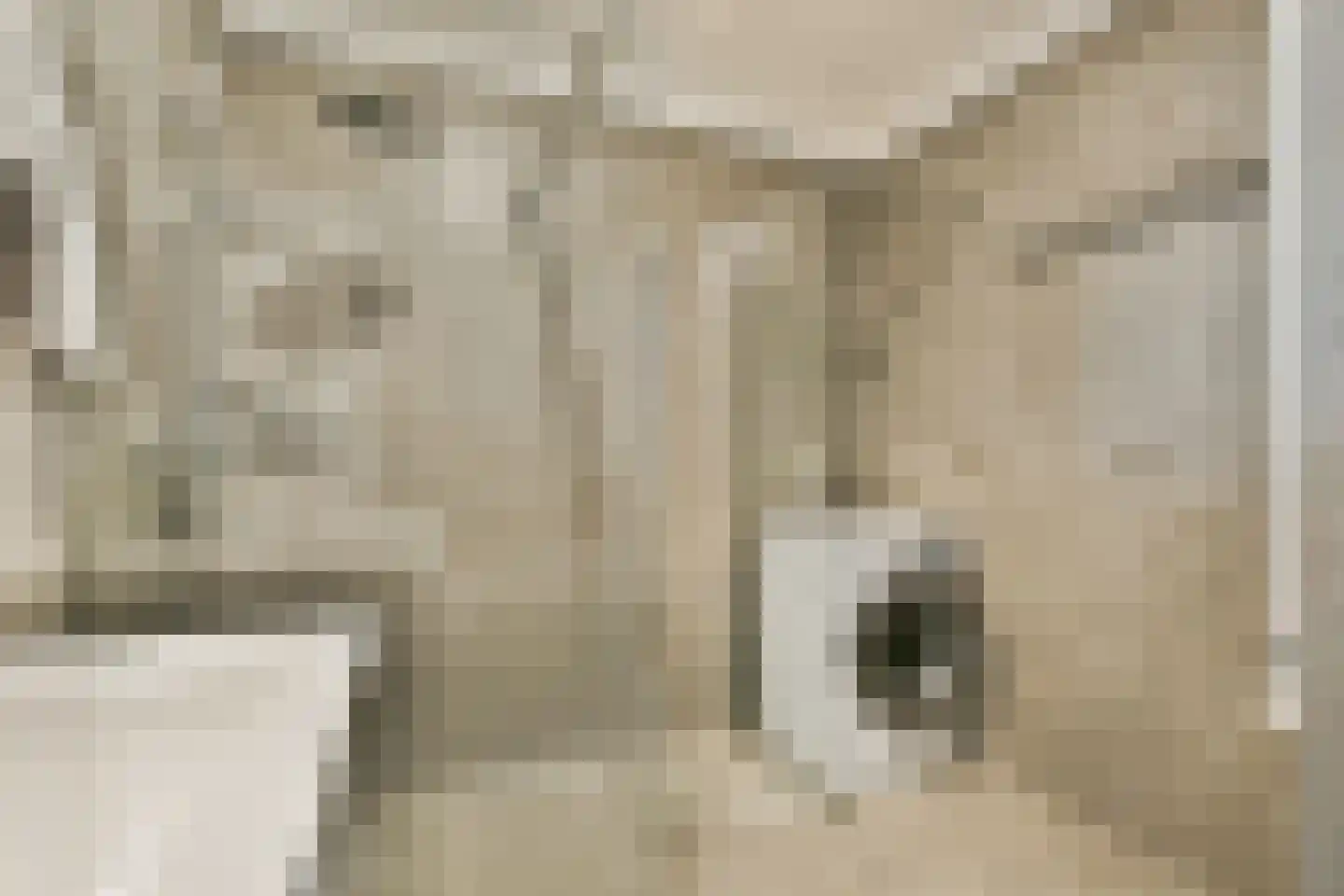 Postjesweg 403 Amsterdam thumbnail 19