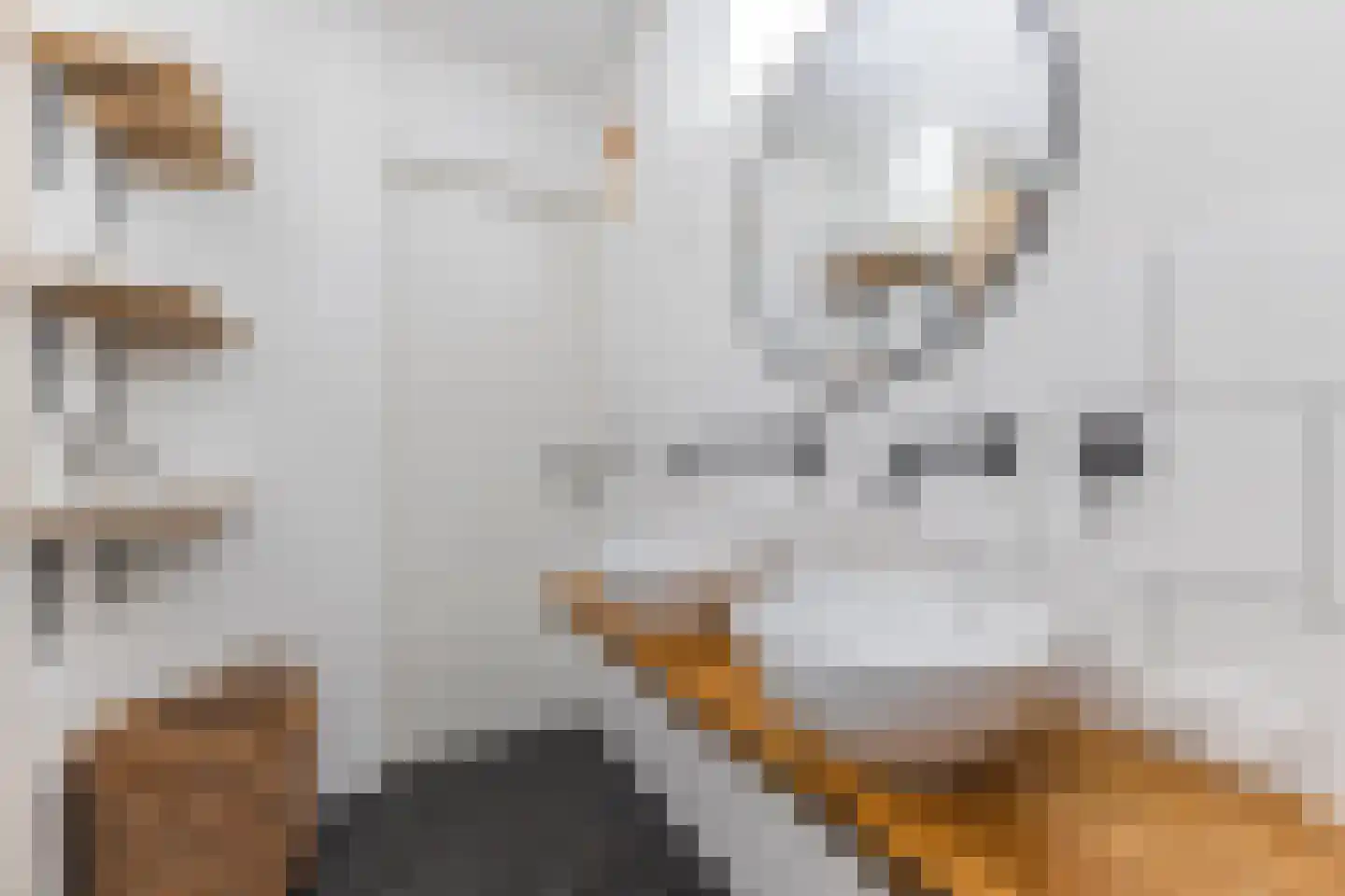 Postjesweg 423 Amsterdam thumbnail 5