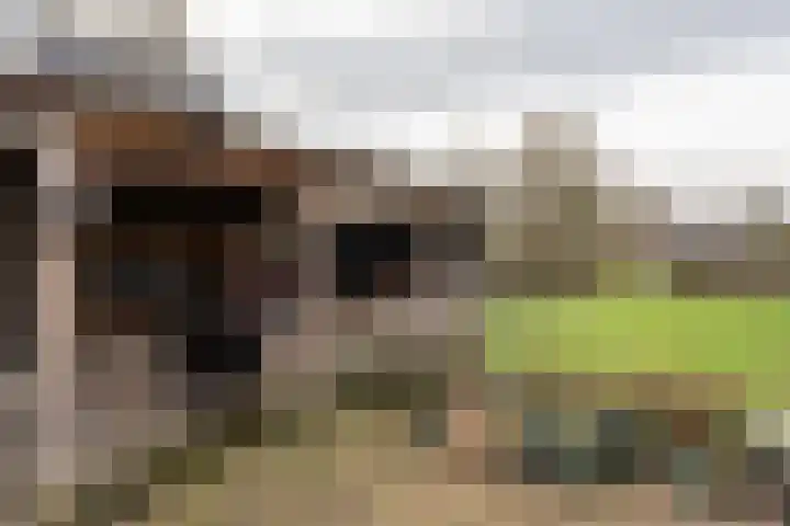 Postkade 19 Stadskanaal thumbnail 29