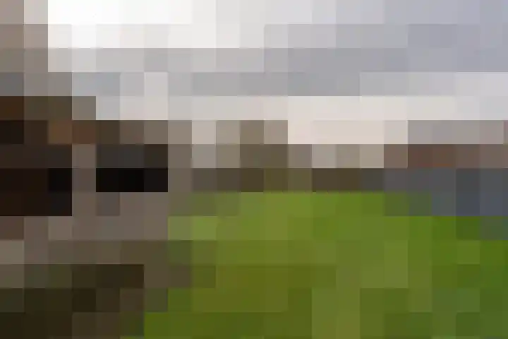 Postkade 19 Stadskanaal thumbnail 32