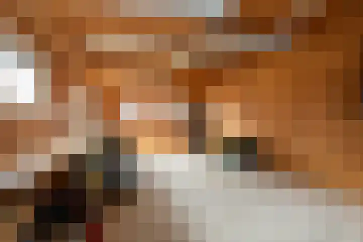 Postkade 19 Stadskanaal thumbnail 37