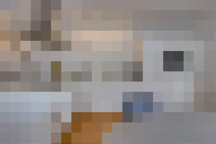 Postkade 23 Stadskanaal thumbnail 11