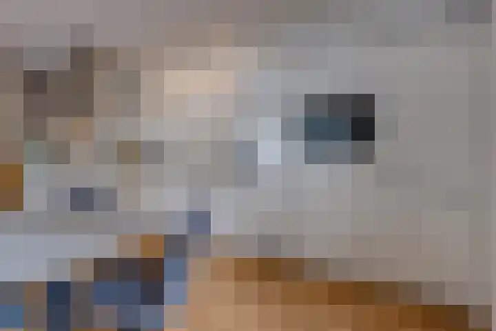 Postkade 23 Stadskanaal thumbnail 12