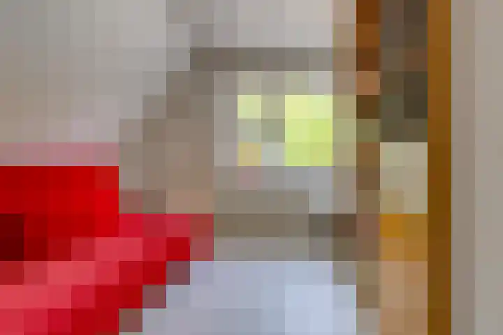 Postkade 23 Stadskanaal thumbnail 26