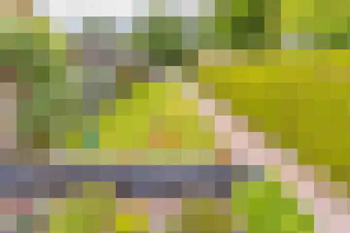 Postkade 23 Stadskanaal thumbnail 38