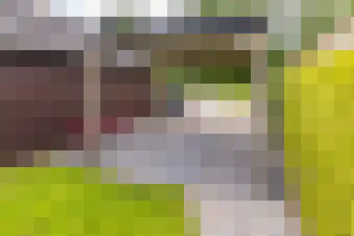 Postkade 23 Stadskanaal thumbnail 39