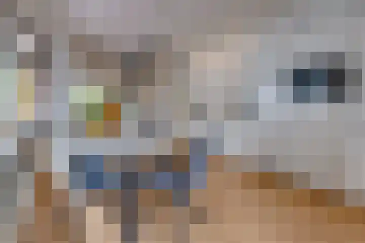 Postkade 23 Stadskanaal thumbnail 7