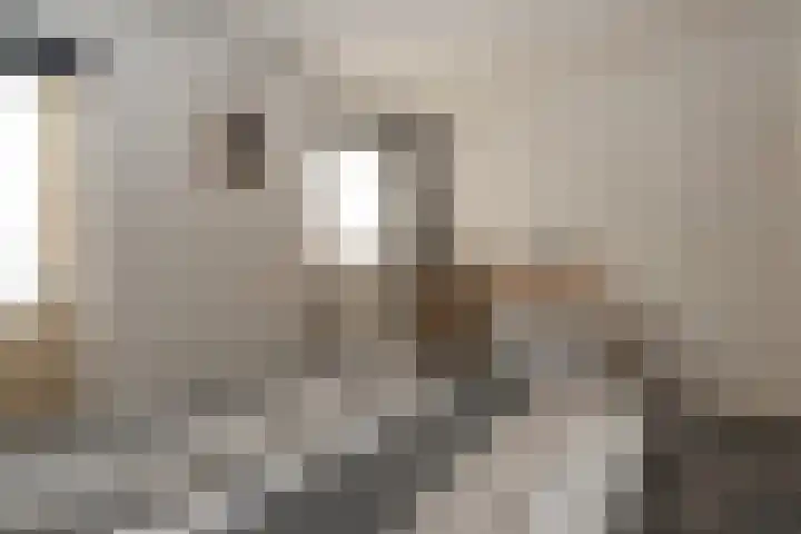 Postkade 43 Stadskanaal thumbnail 30