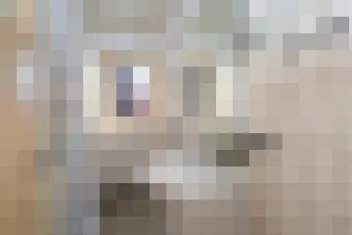 Postkade 43 Stadskanaal thumbnail 31
