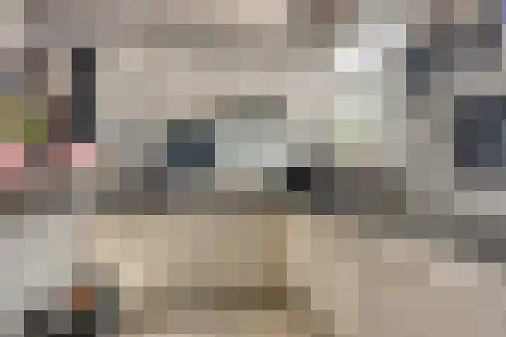 Postkade 58 Stadskanaal thumbnail 11