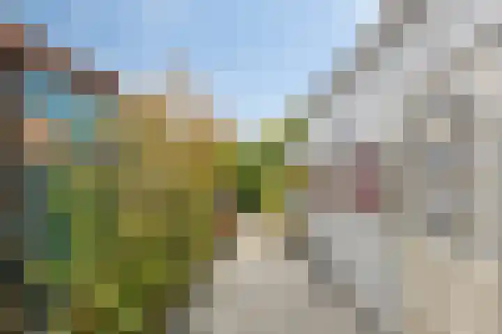 Postkade 58 Stadskanaal thumbnail 20