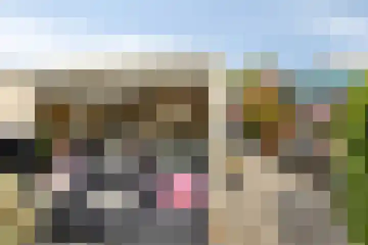 Postkade 58 Stadskanaal thumbnail 21