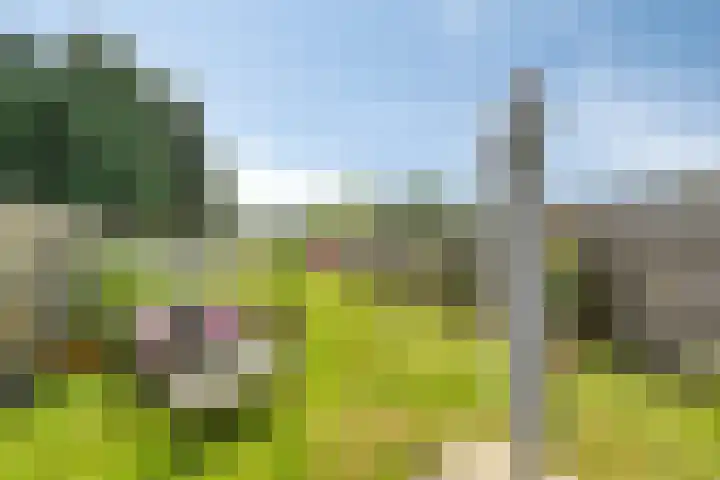 Postkade 58 Stadskanaal thumbnail 24