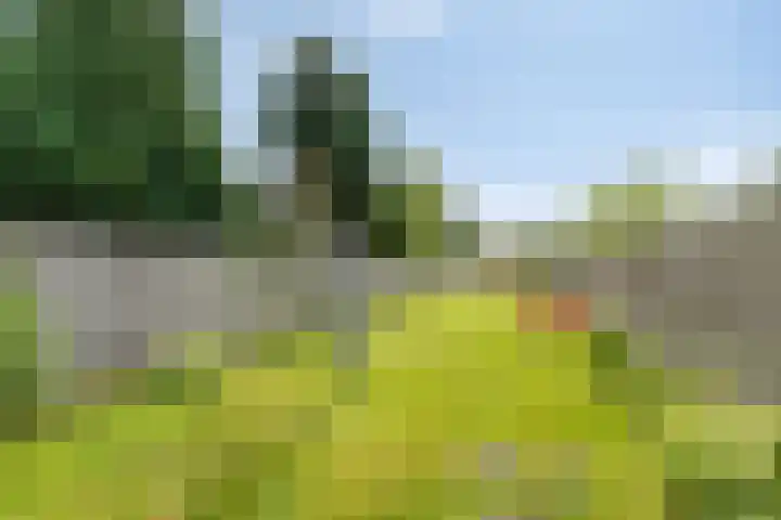 Postkade 58 Stadskanaal thumbnail 25