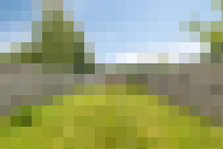 Postkade 58 Stadskanaal thumbnail 26