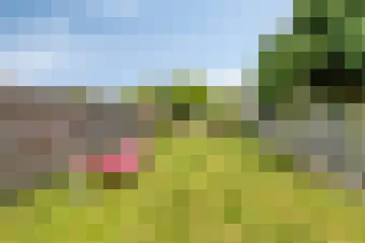 Postkade 58 Stadskanaal thumbnail 27